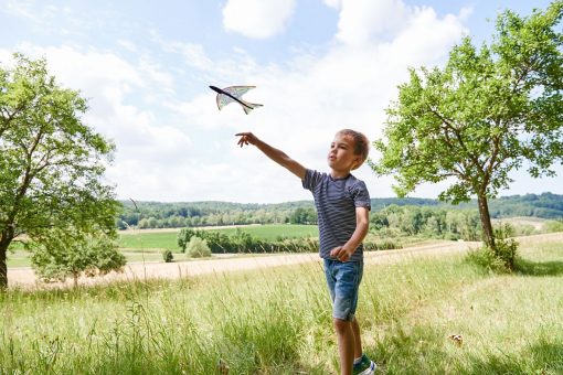 Haba Terra Kids Prak Klzak 3