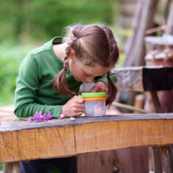 Haba Terra Kids Nádobka na hmys s lupou 3